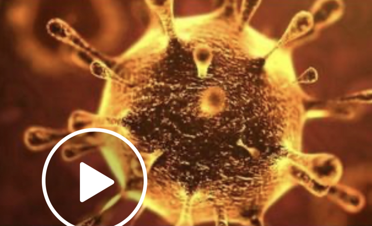 L’hystérie complotiste s’accélère autour du coronavirus – Le Figaro